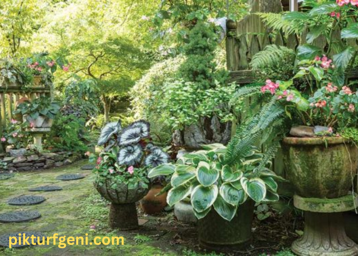 Greener Pastures: Transforming Your Space with Home & Garden Magic
