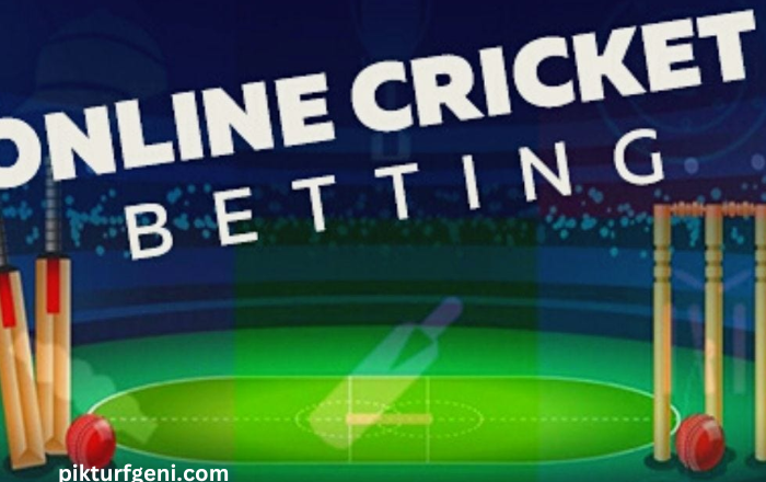 Going through the World of Online Cricket Betting:
