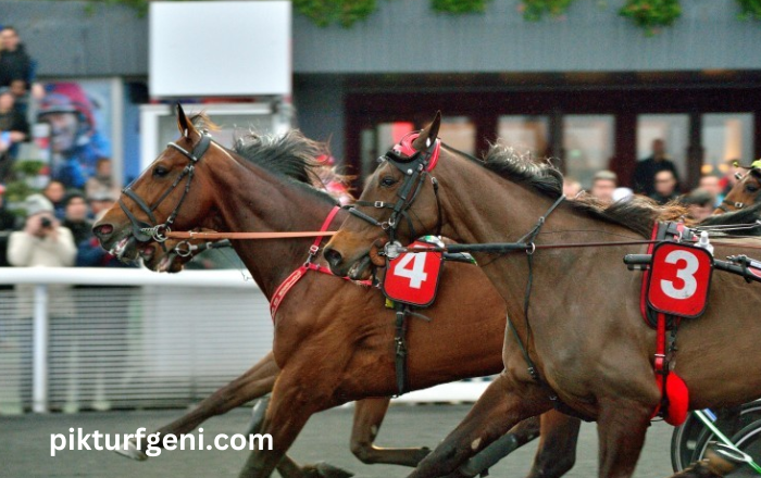 Turf DE France