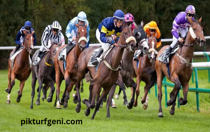 Resultat Des Courses Aujourd’hui