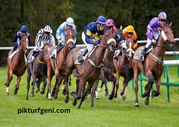 Resultat Des Courses Aujourd'hui