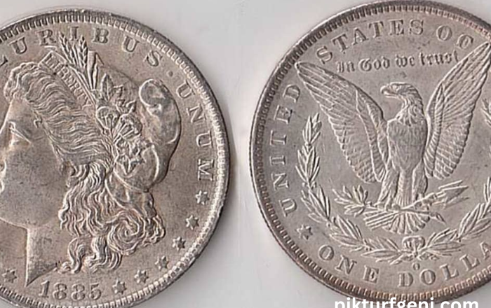 Tips for New Collectors: Starting Your Journey with a 50 Piece Morgan Dollar Set