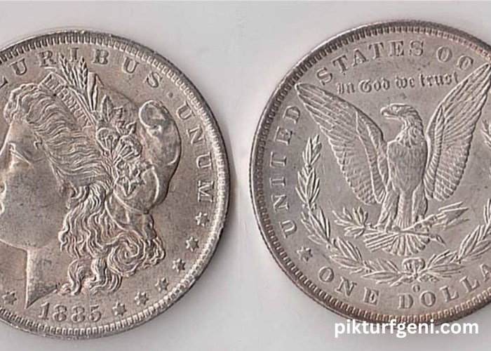 Tips for New Collectors: Starting Your Journey with a 50 Piece Morgan Dollar Set