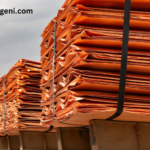 Tanpotex Tanzania Ltd: Leading Copper Cathode Exports in 2023 and Expanding Further in 2024