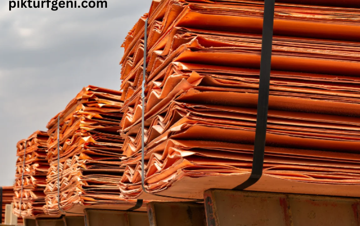 Tanpotex Tanzania Ltd: Leading Copper Cathode Exports in 2023 and Expanding Further in 2024