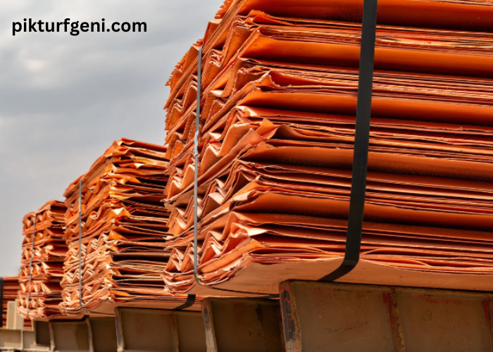 Tanpotex Tanzania Ltd: Leading Copper Cathode Exports in 2023 and Expanding Further in 2024