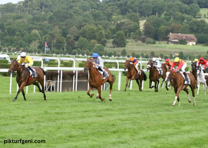 Un Cheval Par Jour