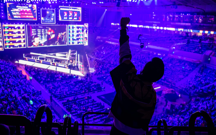 Economics Behind Esports – Revenue Streams and Growth Potential