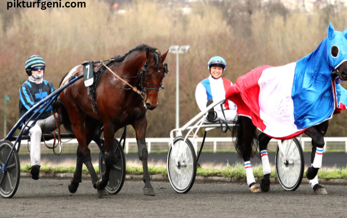 Resultat Des Courses Aujourd’hui 15h15