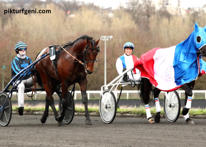 Resultat Des Courses Aujourd’hui 15h15