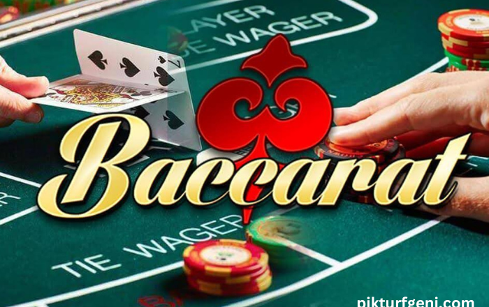 Top Features to Look for in a Baccarat Betting Platform