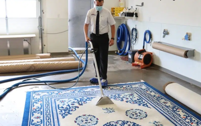 Why Carpet Cleaning Services Are Essential To Maintaining A Healthy Home