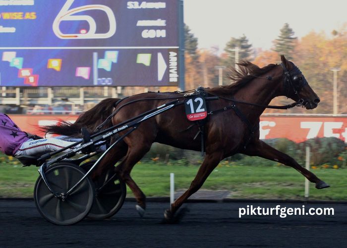 8 Chevaux Turf Magique (3)