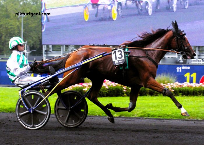 Meilleur Pronostic 3 Chevaux