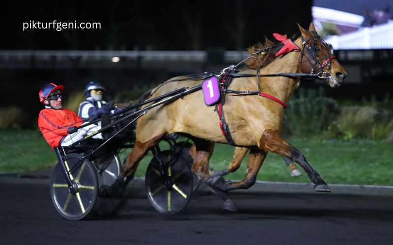 Meilleur Pronostic 3 Chevaux