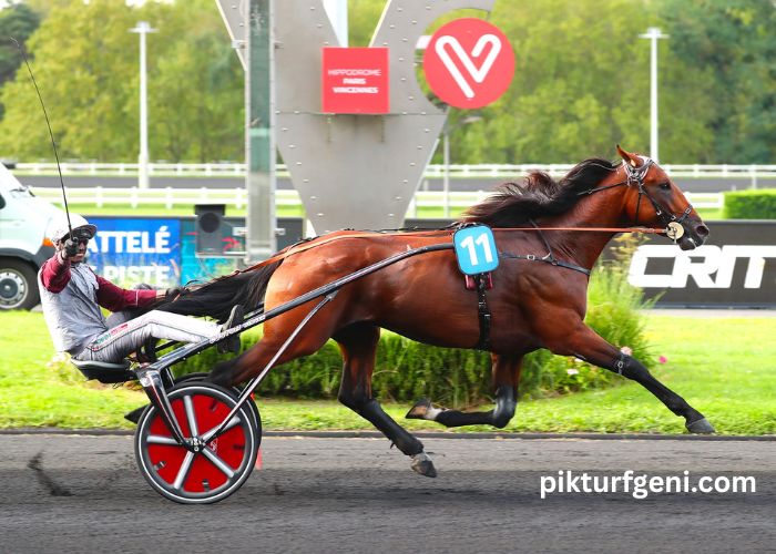 Observateur Du Turf Vip (3)