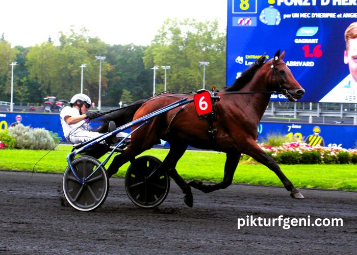 3 Chevaux Gagnant (2)