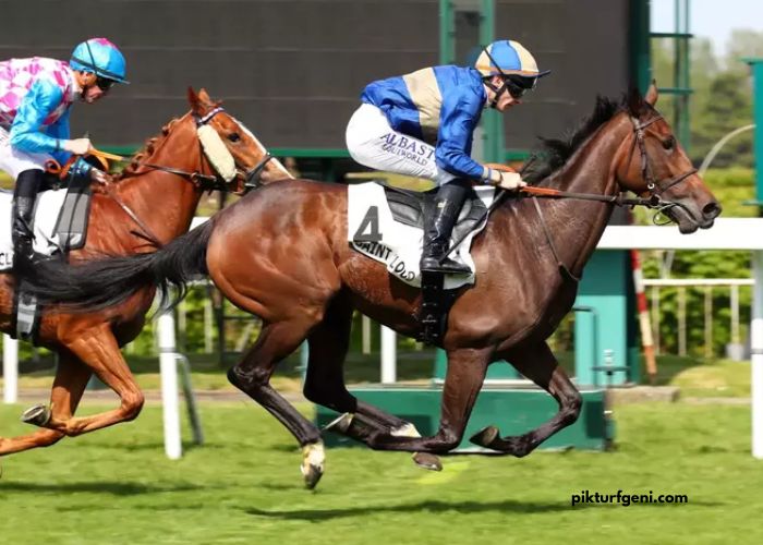 Equidia Du Jour