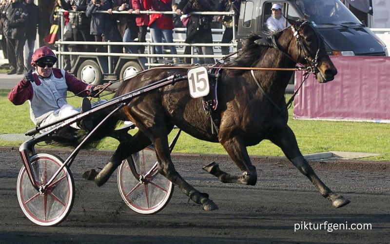 Lebosse Du Turf