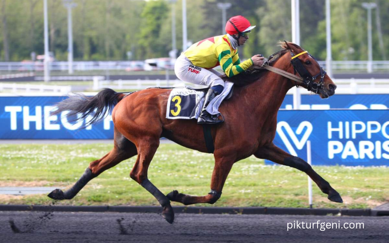 Turf Pronostic 7
