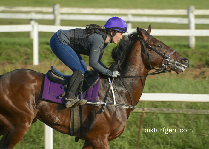 Training Horses for Turf Racing