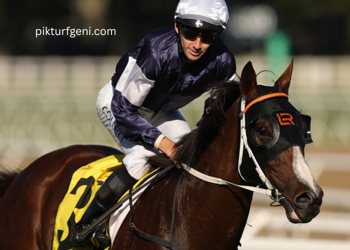 The Influence of Galileo on Global Turf Racing