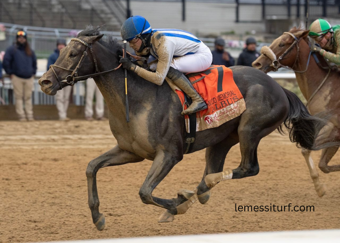 The History of Turf Racing: From Europe to the World