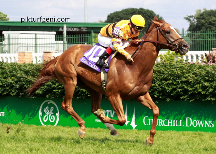 How Track Maintenance Impacts Turf Racing Speed