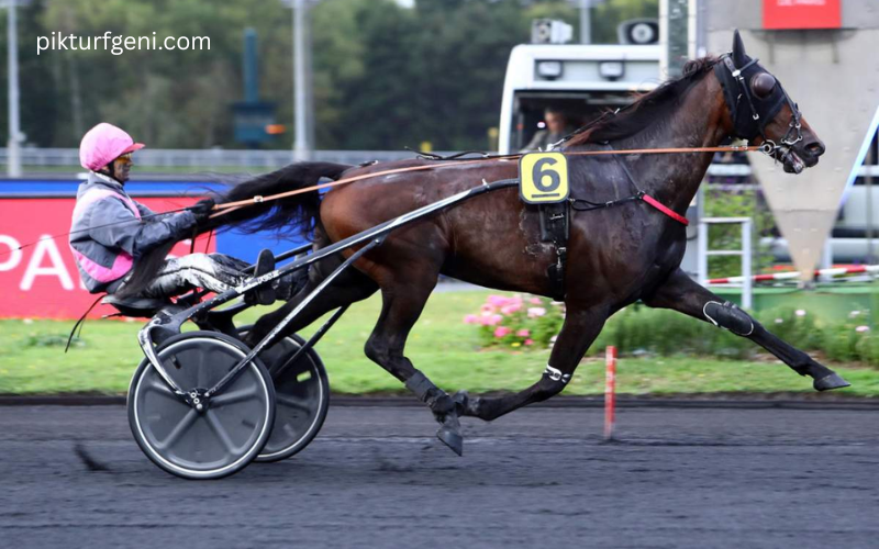 pmumalin derniere minute base incontournable quinte