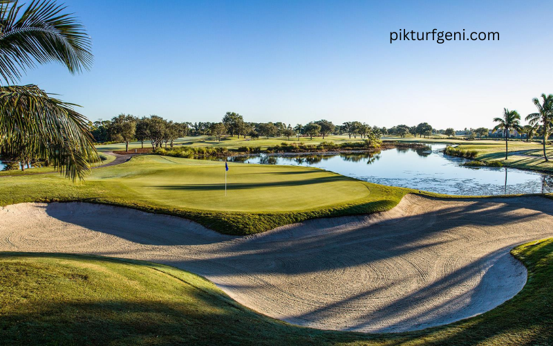 champion course