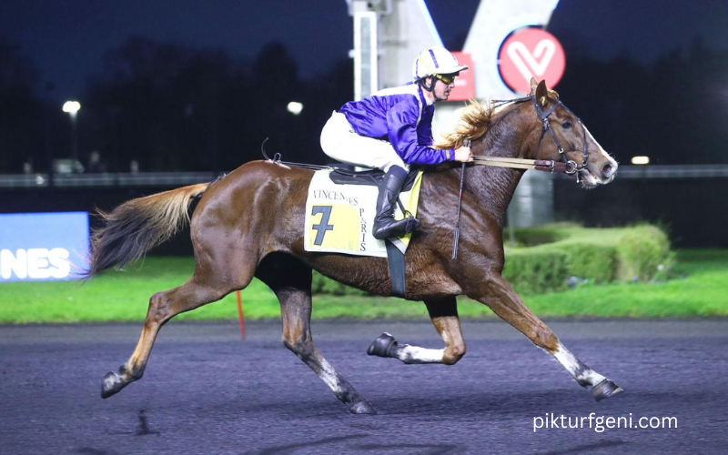 prono choc turf